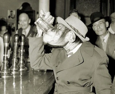 wfyokyga - Ale Monkone w swoim barze, wypija ostentacyjnie alkohol który przemycił z ...