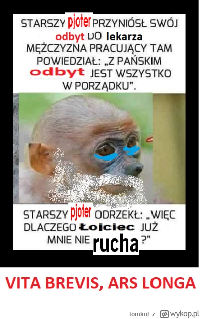 tomkol - #konkursnanajbardziejgownianymemznosaczem