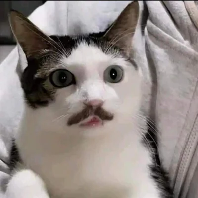 b0dyload - @b0dyload: