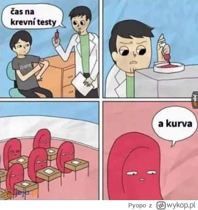 Pyopo - Faktycznie ( ͡° ͜ʖ ͡°)