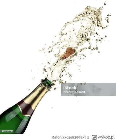 Rafonixkozak2008Pl - @langer