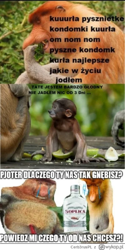 Cerb3rusPL - #konkursnanajbardziejgownianymemznosaczem #kolekcjaklasyki