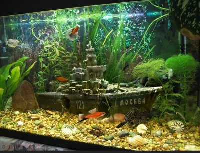 Zupan_W - Akwarium u sąsiada 😂
#heheszki