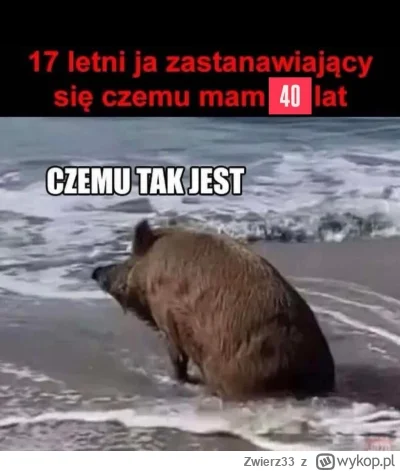 Zwierz33 - #przegryw