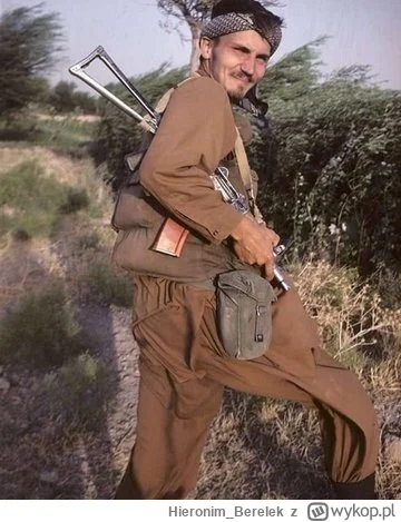 Hieronim_Berelek - @200Amra: ( ͡º ͜ʖ͡º)