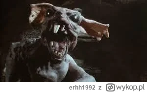 erhh1992 - @suttle: przecież to małposzczur