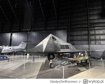 GladysDelKarmen - @ModeracyjnySawantyzm zajebiste muzeum tam w lewym dolnym rogu. Pol...