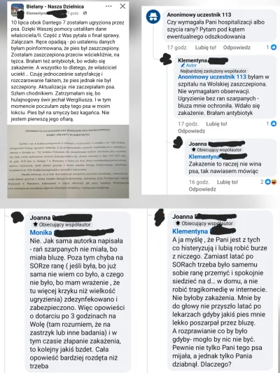 caramelcenter - Zostałaś bez powodu ugryziona przez agresywnego pitbulla, który oczyw...