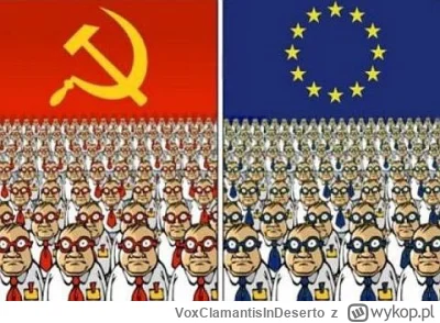 VoxClamantisInDeserto - #4konserwy #uniaeuropejska #europa