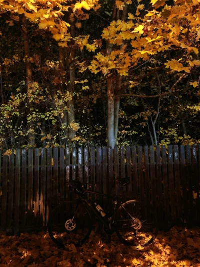 Lasomir - 631 690 + 81 + 28 = 631 799

Dwie ostatnie jazdy, trzeba jeździć dopóki nie...