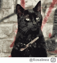 Rosalinea - #hotelparadise w hotelu dramaty się rozgrywają,
 a tymczasem Maja