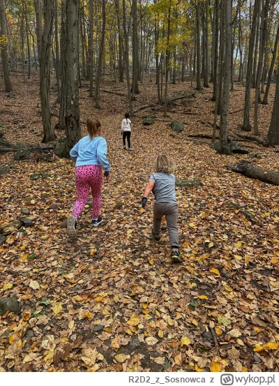 R2D2zSosnowca - @R2D2zSosnowca bierzcie wasze dzieci do lasu jak macie jakieś. One to...
