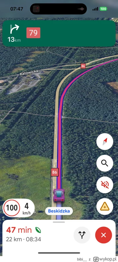 bibi__ - Uwielbiam korki w drodze do #pracbaza (ಠ‸ಠ)