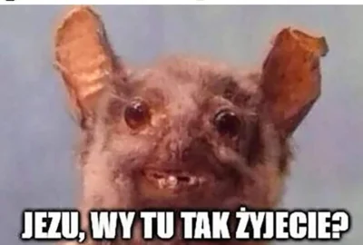 T.....m - Dzień dobry, to ten nowy wspaniały wykop 2.0 robiony od 10 lat? ( ͡° ͜ʖ ͡°)