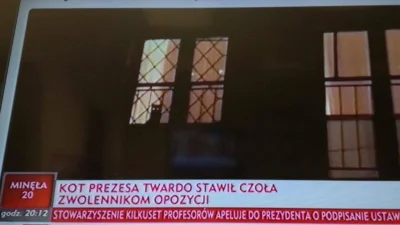 assninja - @TenOdMirabelek: gooby pls. Może gdyby nie internet to by takie łganie prz...