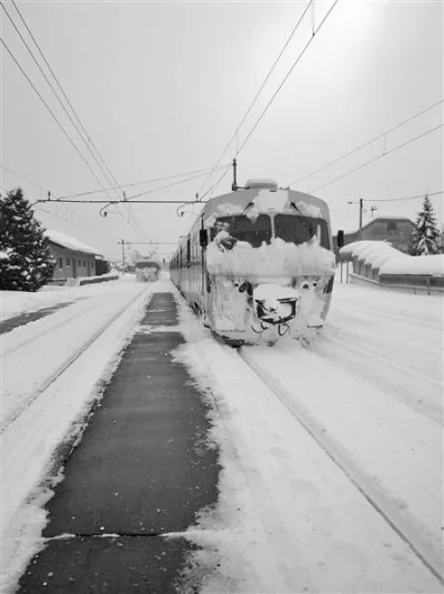 7609 - #fotografia Alfred Freddy Krupa "Brothers in the snow", 2018; Karlovac, Croati...