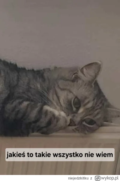 niejedzkitku - @b0dyload biedny kiciuś