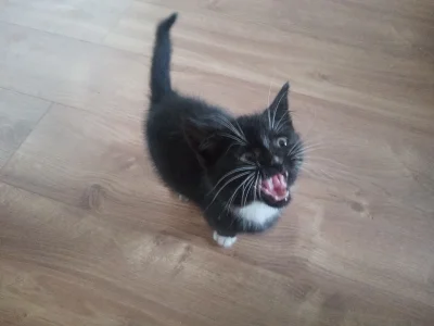 M4rcinS - A tak wyglądał, jak go znalazłem pod płotem we październiku. XD