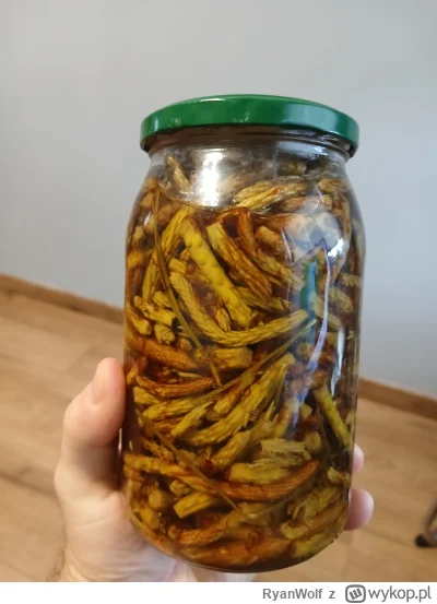 RyanWolf - #pijzwykopem zalane spirytusem lezakowało półtora miesiąca, właśnie postan...