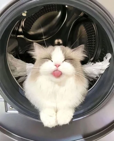 p.....o - @szzzzzz Definitywnie taaak.