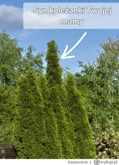 KapitanSoS - #heheszki #humorobrazkowy #humor