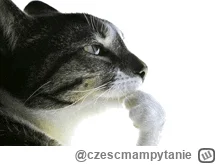 czescmampytanie - w ogóle zauważcie pewien ciekawy fakt:

większość wykopu (różowe i ...