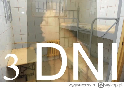 ZygmuntX19 - #kononowicz #patostreamy