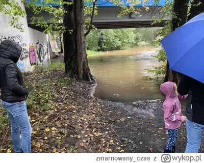 zmarnowany_czas - Drugi (i ostatni) most na Bobrze zostanie najprawdopodobniej zamkni...