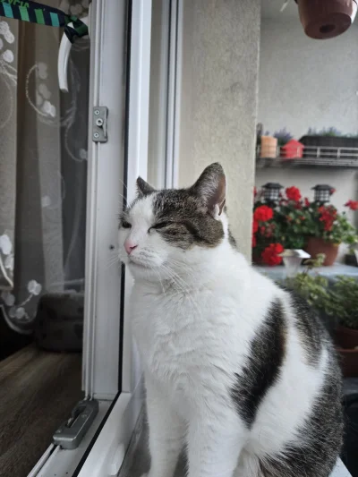 Solsith - @Guide: mina typu zabijaka( ͡° ʖ̯ ͡°)