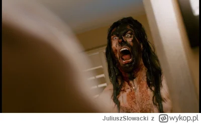 JuliuszSlowacki - WŁAŚNIE ODKRYŁEM ŻE W.K. W ZESPOLE ANDREW W.K. TO WĄSIK I KAMIŃSKI....