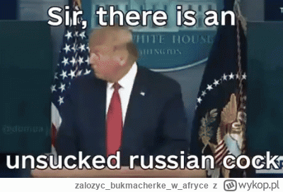 zalozycbukmacherkew_afryce - @Jabby: