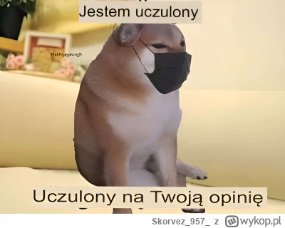 Skorvez957 - Zanim zacznie się debata, taki oto mam przekaz do Braunów, Maciaków i po...