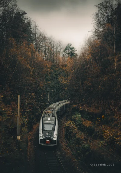 mrsopelek - Wąwóz Kolorado, ale to Szklarska Poręba...

Tag do nieobserwowania -> #so...