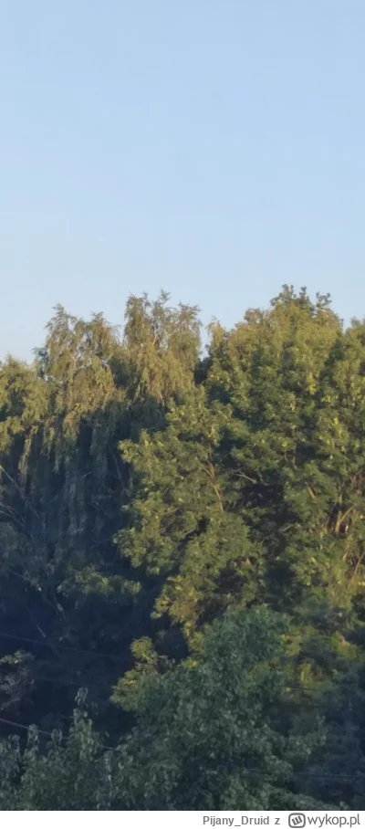 Pijany_Druid - #przegryw Błękit górujący nad zielenią.

Stale zmienny - nigdy jednako...