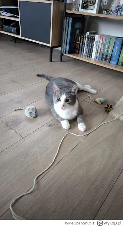 WideOpenShut - @WideOpenShut: