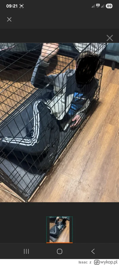 Issac - @Psiodbyt "Super klatka wzieliśmy xxxl i nawet syn się zmieścił"( ͡º ͜ʖ͡º)