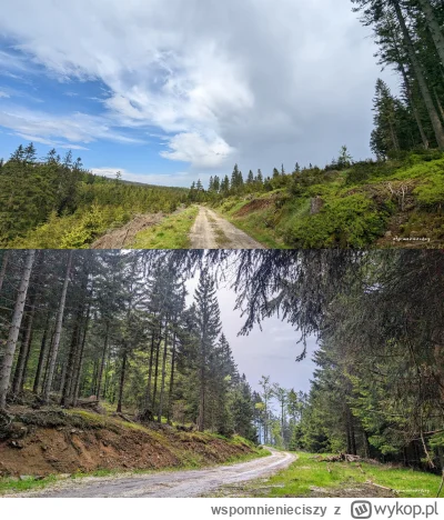 wspomnienieciszy - #gory #sudety na weekend 2025.05.31-06.01.