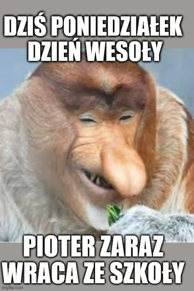 PIAN--A_A--KTYWNA - #konkursnanajbardziejgownianymemznosaczem