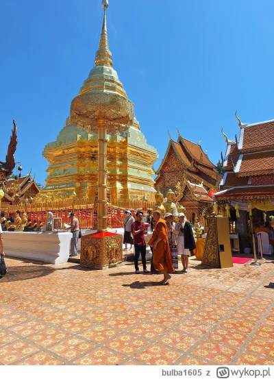 bulba1605 - Czy poranna Tajlandia może plusa?