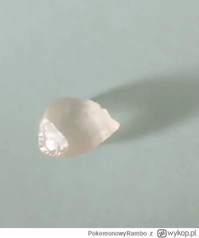 PokemonowyRambo - Z córką (5 lat) mamy zajawkę, że szukamy różnych ciekawych kamieni....