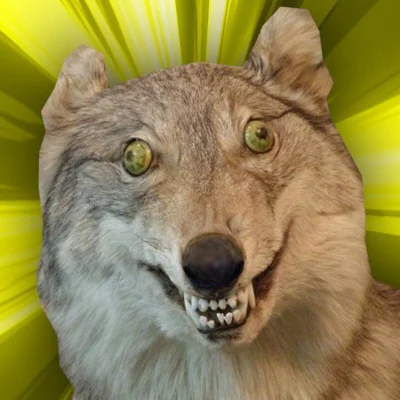 ----------------------------- - #sebcel

piękna wartość wybiła w weekend