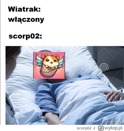 scorp02 - @enteropeptydaza Tak było (╭☞σ ͜ʖσ)╭☞