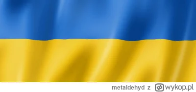 metaldehyd - Czy chciałbyś, żeby ukraińcy wyjechali z Polski?
#pytanie #polska #ankie...