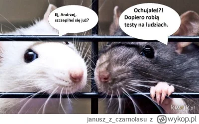 januszzczarnolasu - Szczury to mądre zwierzęta...