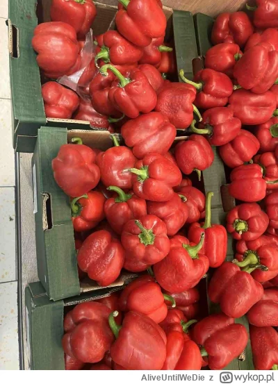 AliveUntilWeDie - @Cztero0404: Lidl, fota z przedwczoraj. Ten sam syf w biedrze. Kauf...