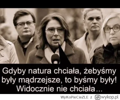 WyKoPieCieZLE - #polityka #heheszki