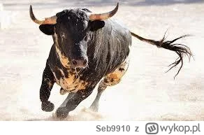 Seb9910 - Mamy great Reset representacji. Dni dna 2003-2013-2023
#mecz