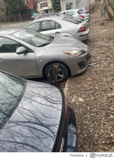 Pandzior - @wfyokyga: złapali groźnego złodzieja kół