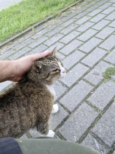 SatanWasa_Babyboomer - JOŁ HEJ ELO DZIUNIE HEJ ELO NIUNIE KOCHAM WAS WSZYSTKIE LALUNI...