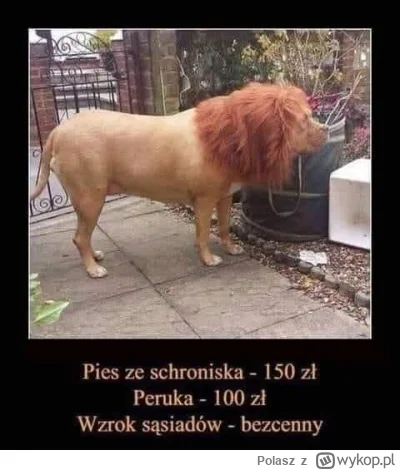 Polasz - Dzień dobry :)